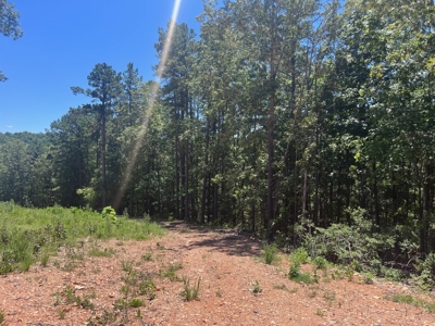 28 Acres For Sale in the Ozark Mountains - image 7