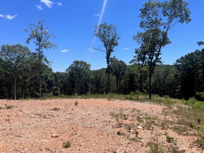 28 Acres For Sale in the Ozark Mountains - image 6