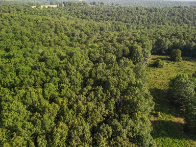 Ozark County Missouri Home near North Fork of White River - image 32