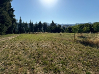 Country Properties in Guinda, California for Sale - image 23