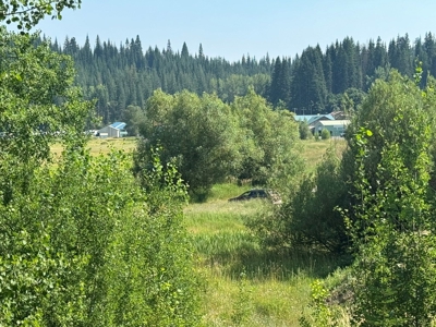 Land with Dry Cabin for Sale in Elk River, Idaho - image 16