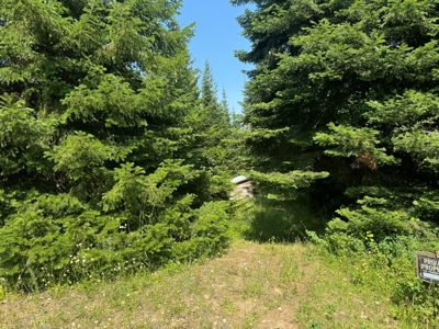 Land with Dry Cabin for Sale in Elk River, Idaho - image 10