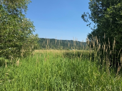 Land with Dry Cabin for Sale in Elk River, Idaho - image 15