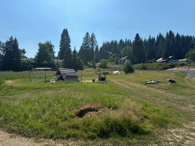 Land with Dry Cabin for Sale in Elk River, Idaho - image 13