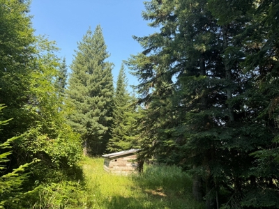 Land with Dry Cabin for Sale in Elk River, Idaho - image 2