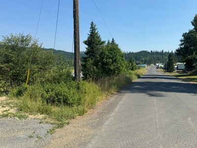 Land with Dry Cabin for Sale in Elk River, Idaho - image 4