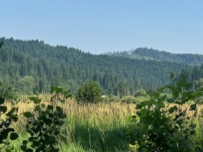 Land with Dry Cabin for Sale in Elk River, Idaho - image 14