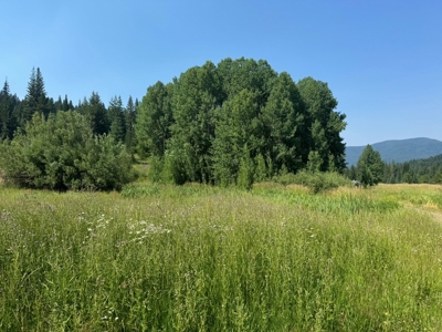 Land with Dry Cabin for Sale in Elk River, Idaho - image 6