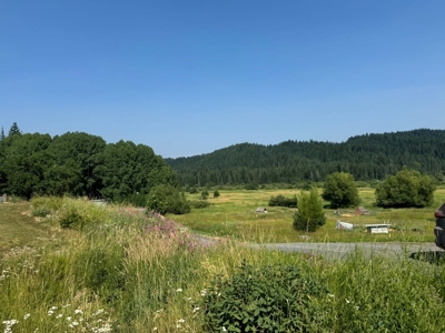Land with Dry Cabin for Sale in Elk River, Idaho - image 5