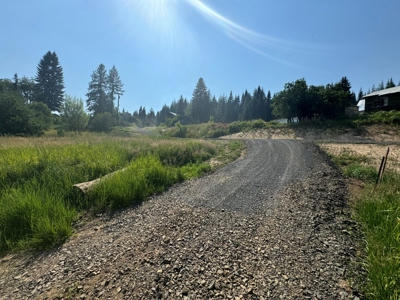 Land with Dry Cabin for Sale in Elk River, Idaho - image 11