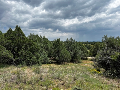Chama Valley Property for Sale in Ponderosa w/ Great Access - image 1