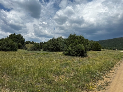Chama Valley Property for Sale in Ponderosa w/ Great Access - image 9