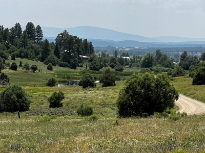 Chama Valley Property for Sale in Ponderosa w/ Great Access - image 4
