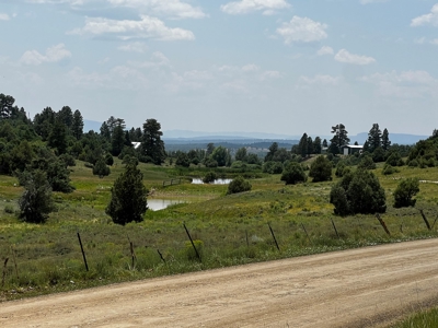 Chama Valley Property for Sale in Ponderosa w/ Great Access - image 14