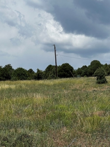 Chama Valley Property for Sale in Ponderosa w/ Great Access - image 3