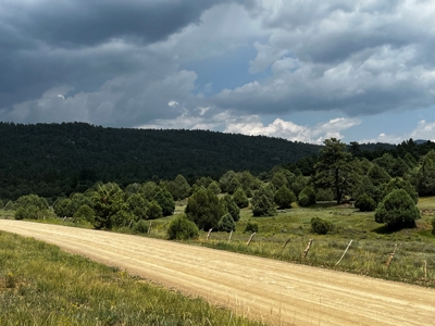 Chama Valley Property for Sale in Ponderosa w/ Great Access - image 7