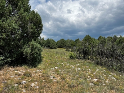 Chama Valley Property for Sale in Ponderosa w/ Great Access - image 11