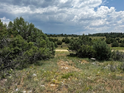 Chama Valley Property for Sale in Ponderosa w/ Great Access - image 2