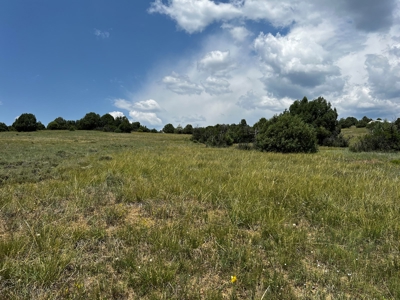 Chama Valley Property for Sale in Ponderosa w/ Great Access - image 8