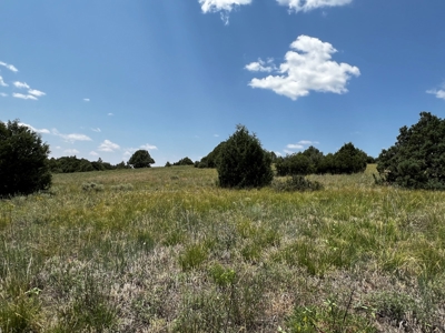 Chama Valley Property for Sale in Ponderosa w/ Great Access - image 5