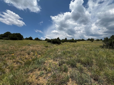 Chama Valley Property for Sale in Ponderosa w/ Great Access - image 6