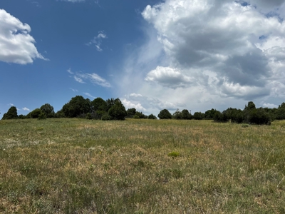Chama Valley Property for Sale in Ponderosa w/ Great Access - image 12