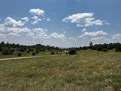 Chama Valley Property for Sale in Ponderosa w/ Great Access - image 13