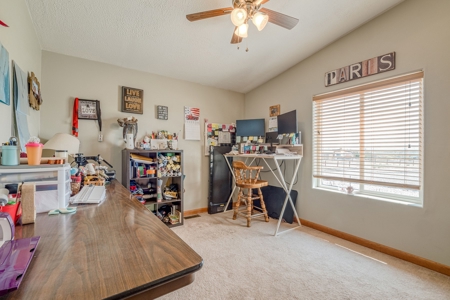 Colorado Home and Horse Property for Sale with BLM Access - image 29