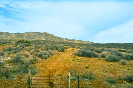 40.18+/- Acre Online Land Auction (Douglas, Az) - image 21