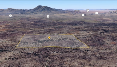 40.18+/- Acre Online Land Auction (Douglas, Az) - image 12