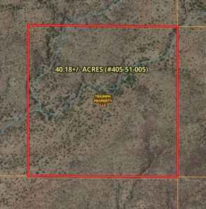 40.18+/- Acre Online Land Auction (Douglas, Az) - image 2