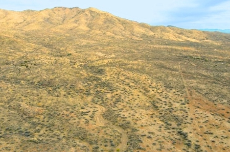 40.18+/- Acre Online Land Auction (Douglas, Az) - image 19