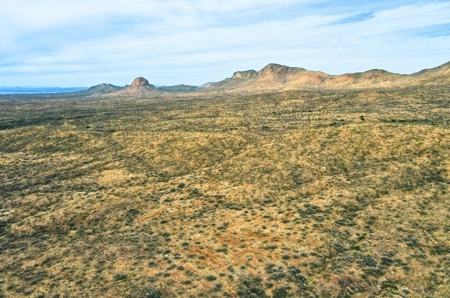 40.18+/- Acre Online Land Auction (Douglas, Az) - image 18