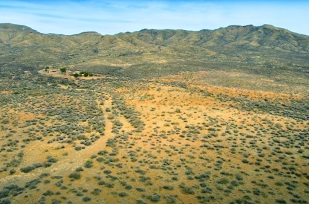 40.18+/- Acre Online Land Auction (Douglas, Az) - image 20