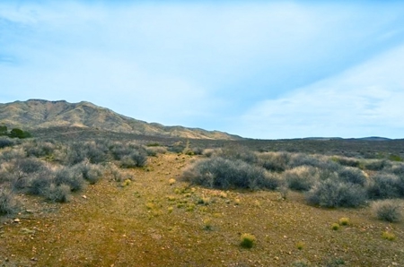 40.18+/- Acre Online Land Auction (Douglas, Az) - image 22