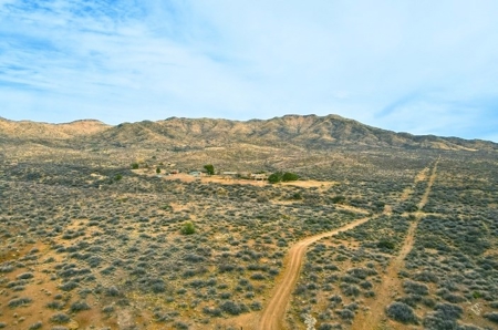 40.18+/- Acre Online Land Auction (Douglas, Az) - image 26