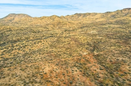 40.18+/- Acre Online Land Auction (Douglas, Az) - image 27
