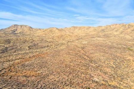 40.18+/- Acre Online Land Auction (Douglas, Az) - image 16