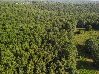 Wooded Land near Norfork Lake in Ozark County Missouri - image 1