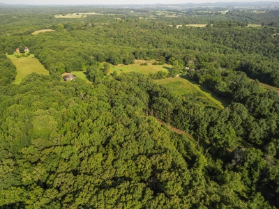 Wooded Land near Norfork Lake in Ozark County Missouri - image 2
