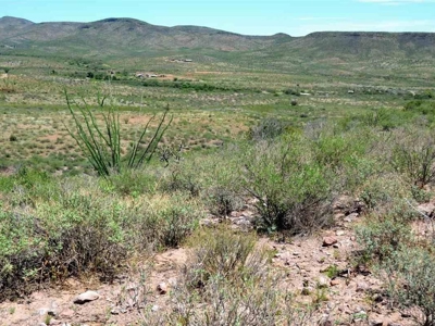 40.72+/- Acre Online Land Auction (Douglas, Az) - image 22