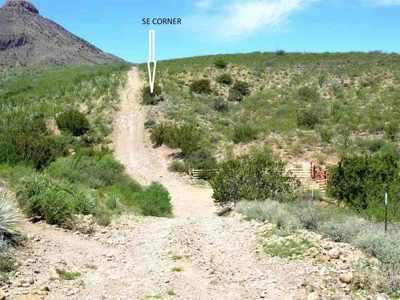 40.72+/- Acre Online Land Auction (Douglas, Az) - image 13