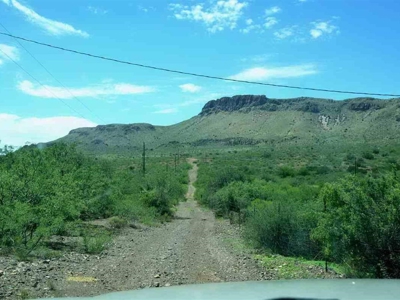 40.72+/- Acre Online Land Auction (Douglas, Az) - image 17