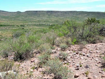 40.72+/- Acre Online Land Auction (Douglas, Az) - image 14