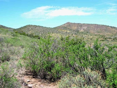 40.72+/- Acre Online Land Auction (Douglas, Az) - image 20