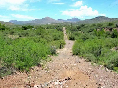 40.72+/- Acre Online Land Auction (Douglas, Az) - image 11