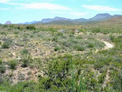 40.72+/- Acre Online Land Auction (Douglas, Az) - image 18