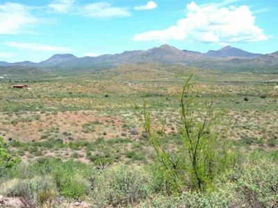 40.72+/- Acre Online Land Auction (Douglas, Az) - image 23