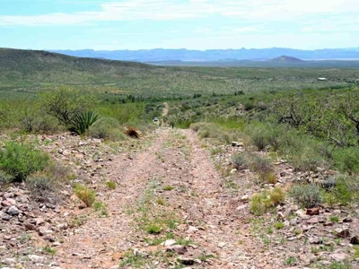 40.72+/- Acre Online Land Auction (Douglas, Az) - image 15