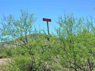 40.72+/- Acre Online Land Auction (Douglas, Az) - image 19